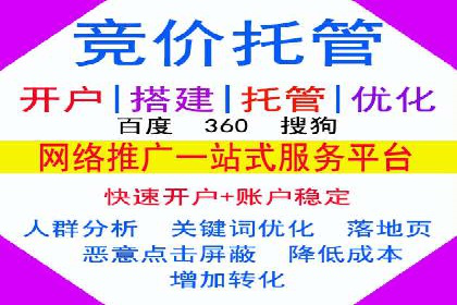百度SEM推广策略：成功案例解析